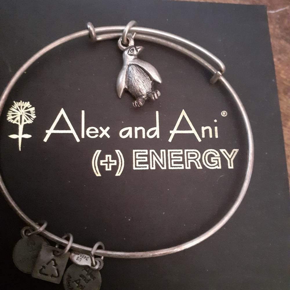 🐧Alex and Ani penguin bracelet